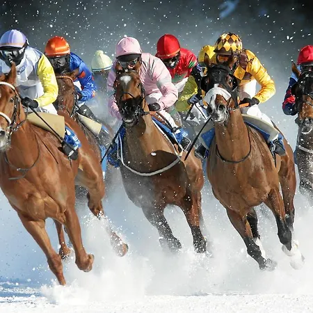 Schweizerhof 3* Pontresina