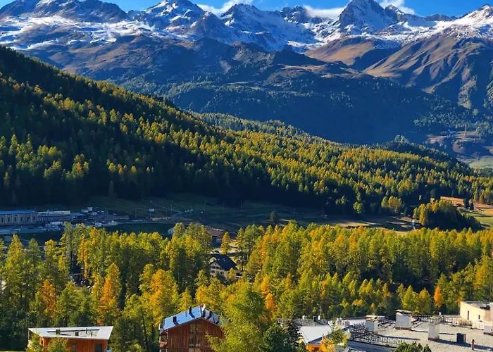 Schweizerhof Отель